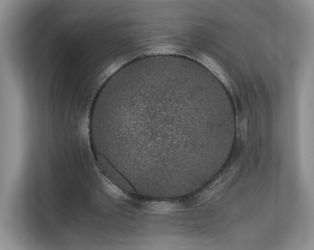 X0000110690389200906191511