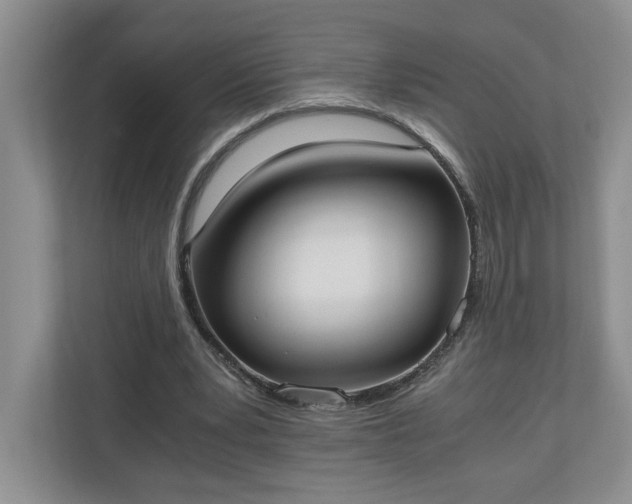 X0000110690391200906191511