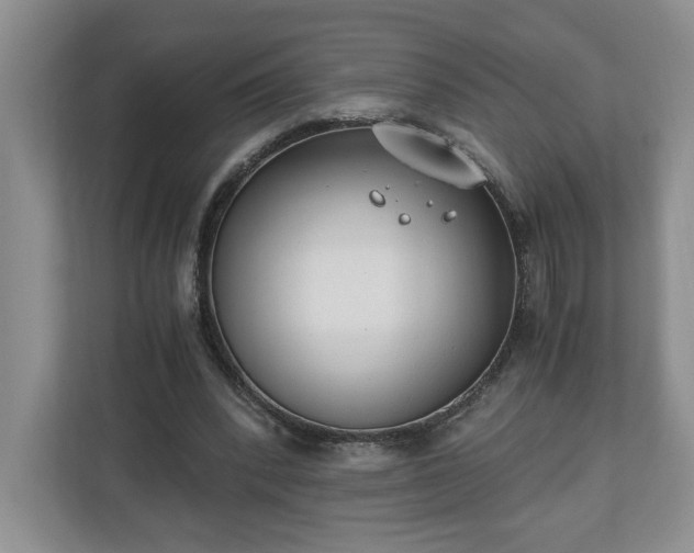 X0000110690392200906191511