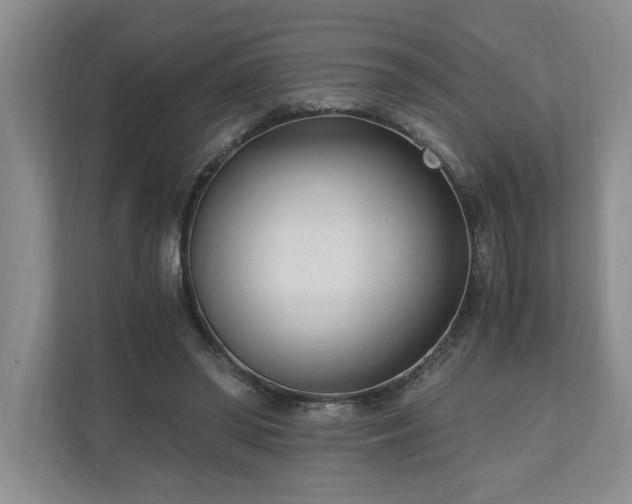 X0000110690398200906191511