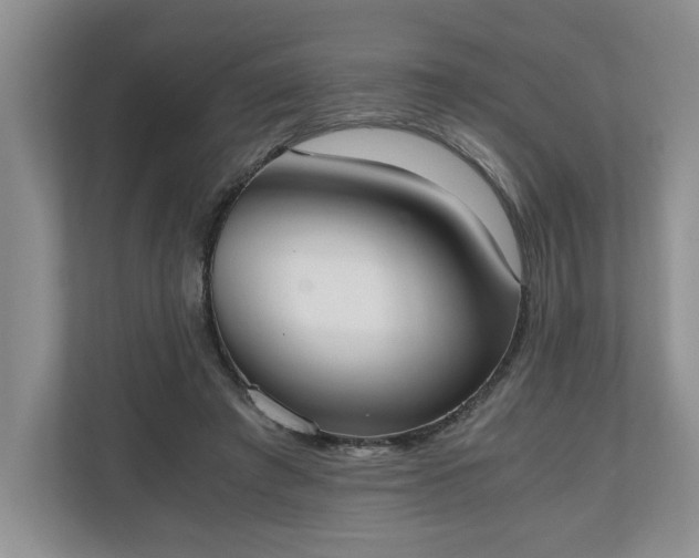 X0000110690401200906191511