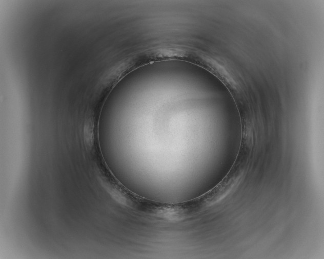 X0000110690402200906191511