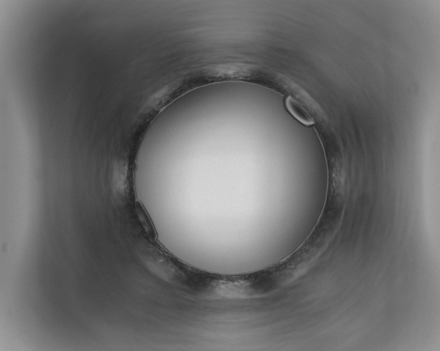 X0000110690403200906191511