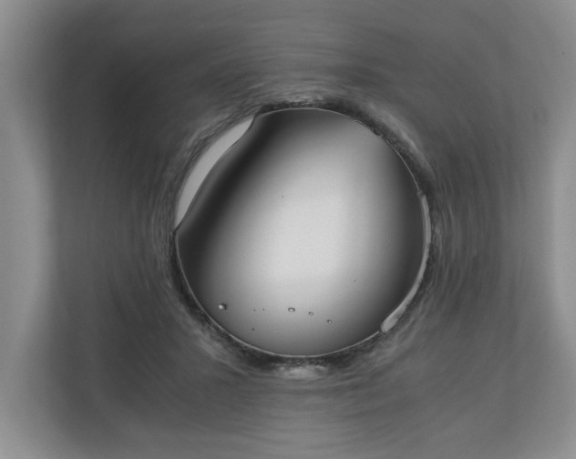 X0000110690407200906191511