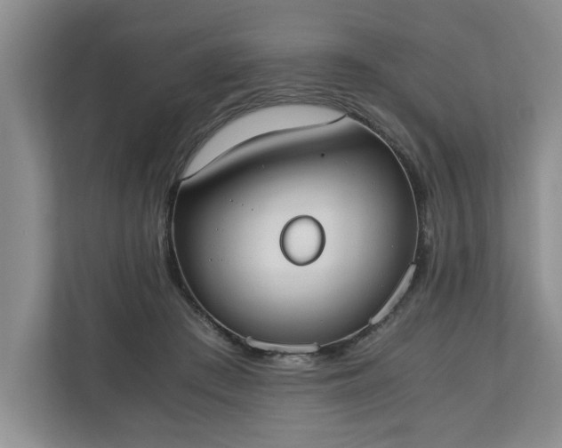 X0000110690409200906191511