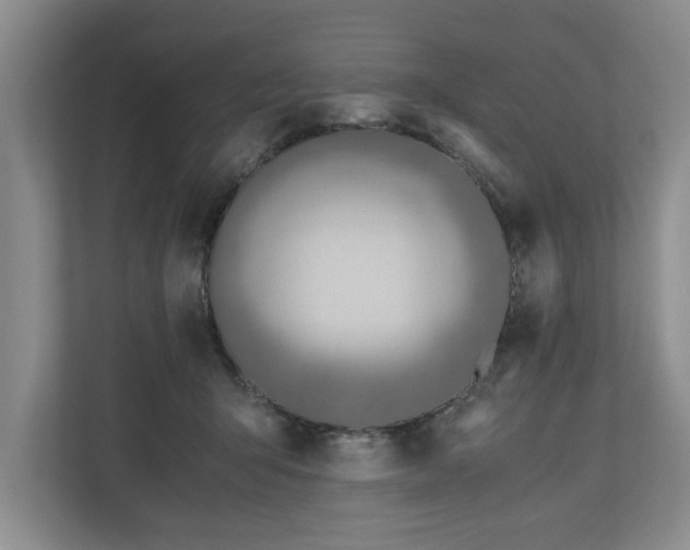 X0000110690415200906191511