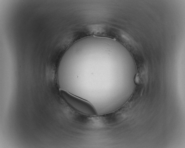 X0000110690417200906191511