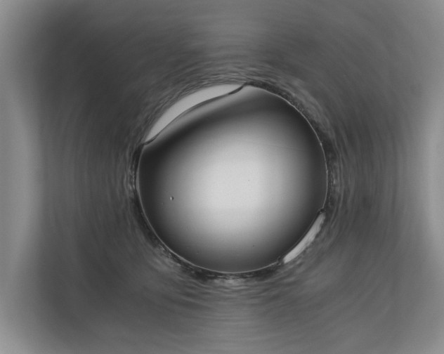 X0000110690419200906191511