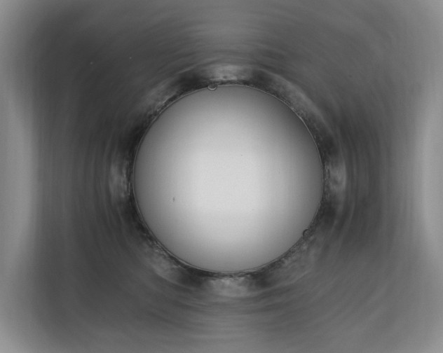 X0000110690422200906191511