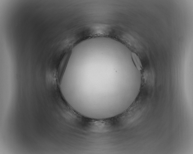 X0000110690423200906191511