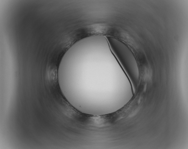 X0000110690425200906191511