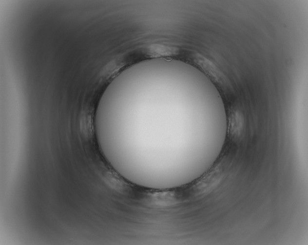 X0000110690426200906191511