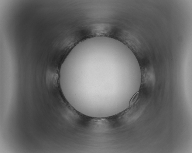 X0000110690427200906191511