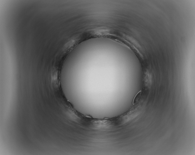 X0000110690428200906191511