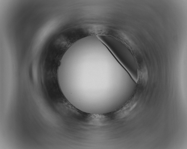 X0000110690429200906191511