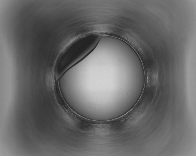 X0000110690436200906191510