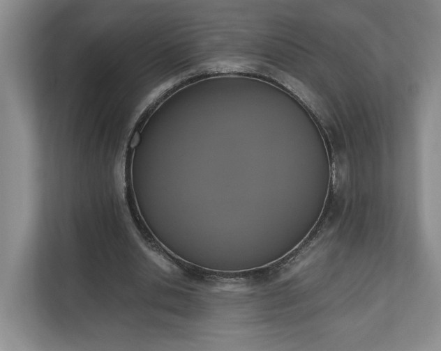 X0000110690438200906191510