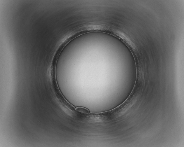 X0000110690439200906191510