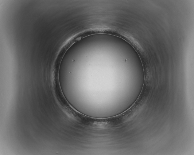 X0000110690440200906191510