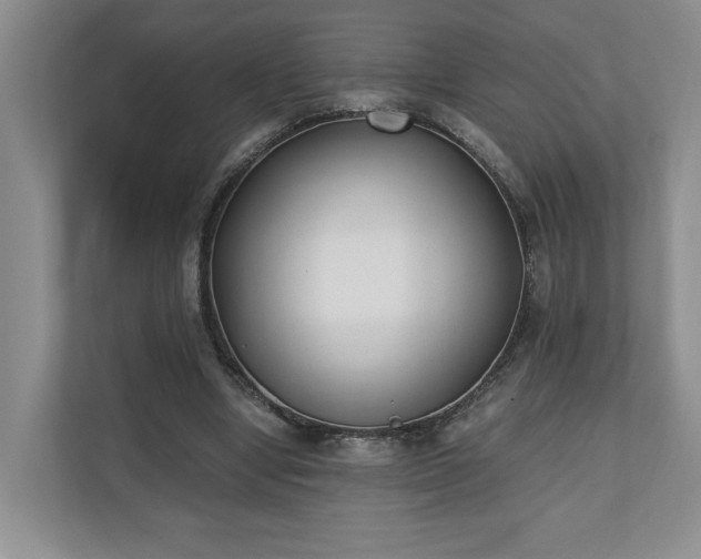 X0000110690442200906191510