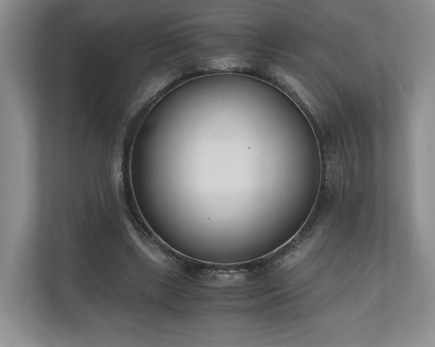 X0000110690443200906191510