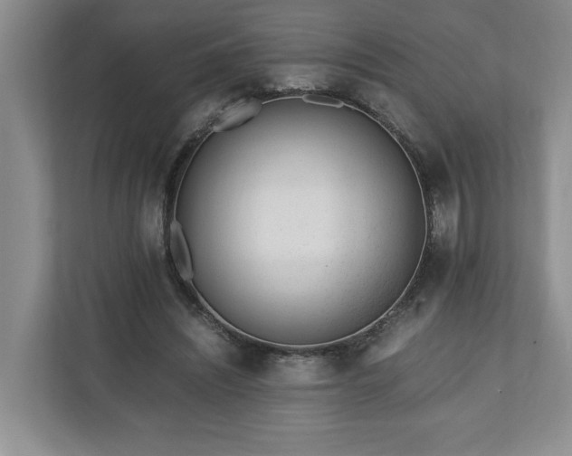 X0000110690444200906191510