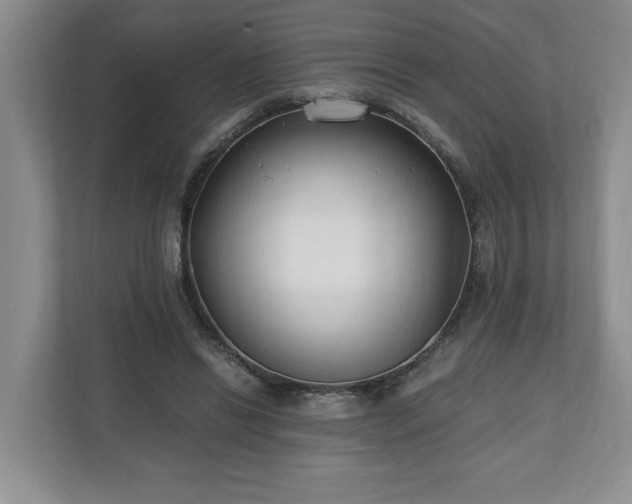 X0000110690446200906191510