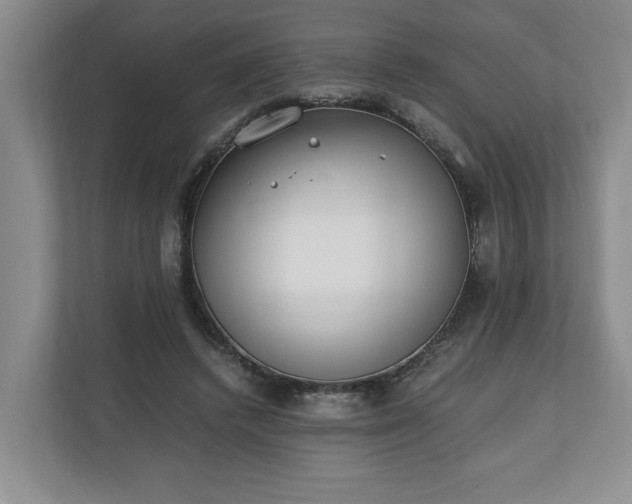 X0000110690448200906191510