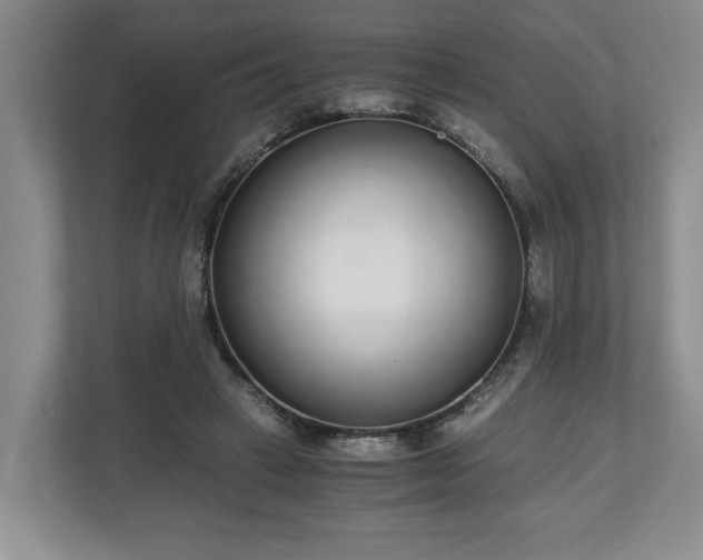 X0000110690449200906191510