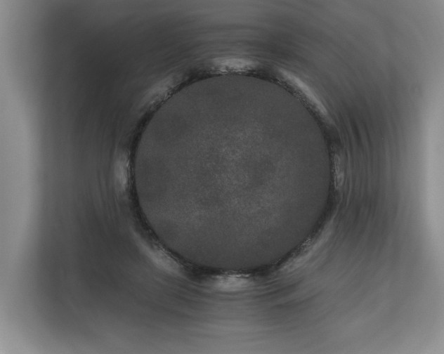 X0000110690451200906191511