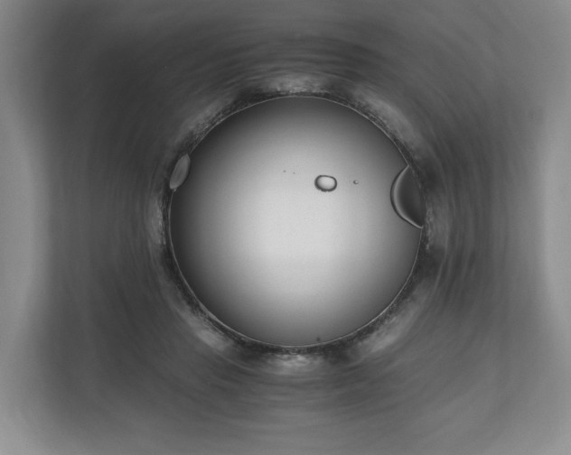 X0000110690453200906191511