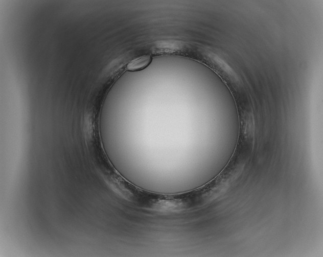 X0000110690455200906191511