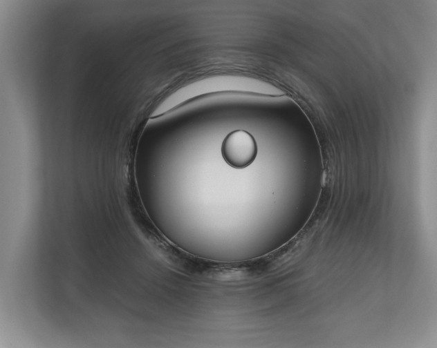 X0000110690456200906191511