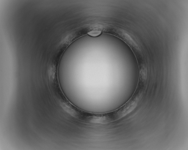 X0000110690458200906191511