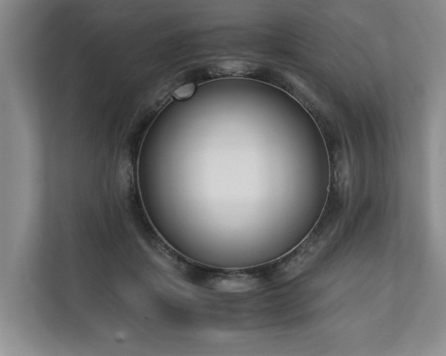 X0000110690459200906191511