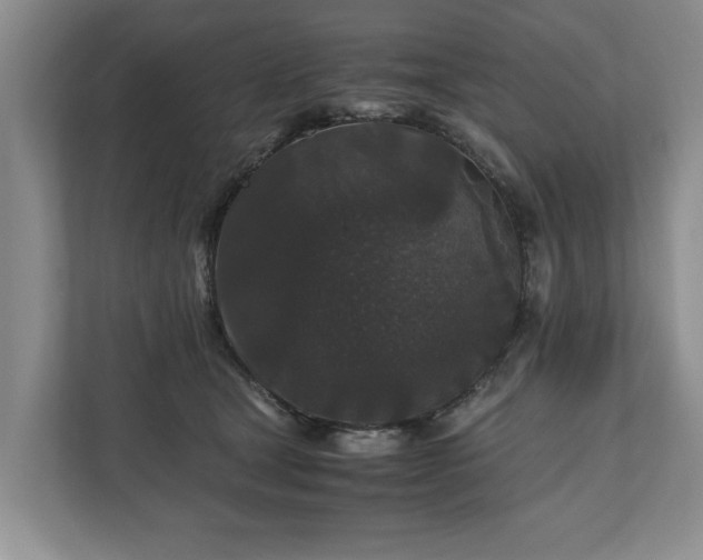 X0000110690465200906191511