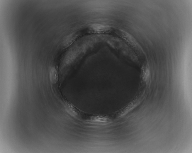 X0000110690471200906191511