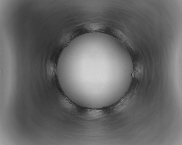 X0000110690476200906191511