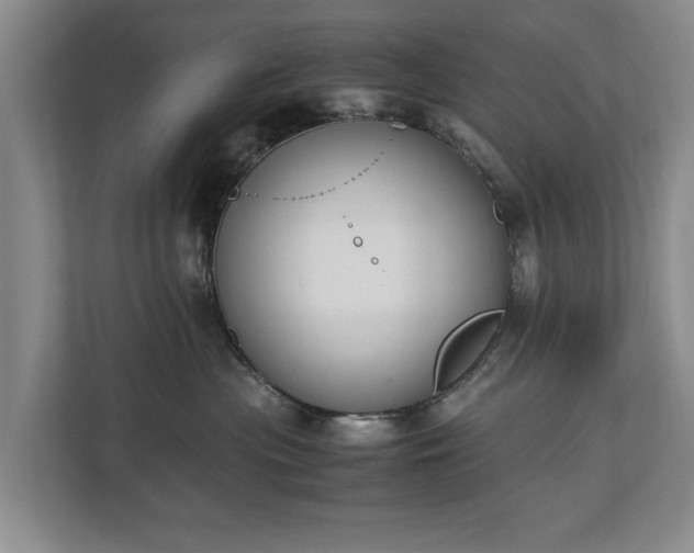 X0000110690477200906191511