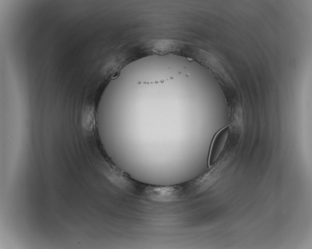 X0000110690478200906191511