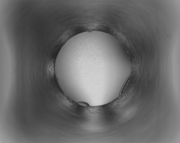 X0000110690479200906191511