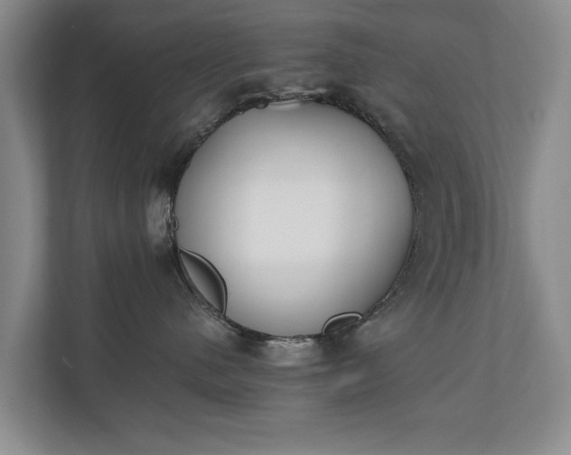 X0000110690480200906191511