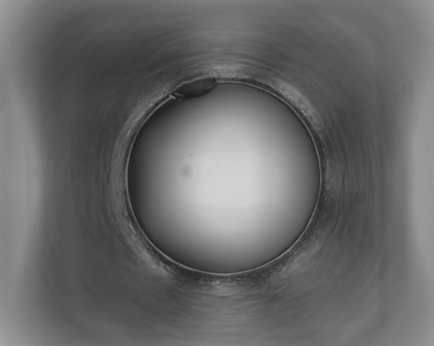 X0000110690481200906191510