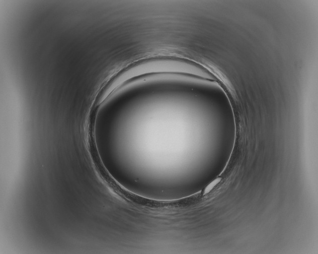 X0000110690485200906191510