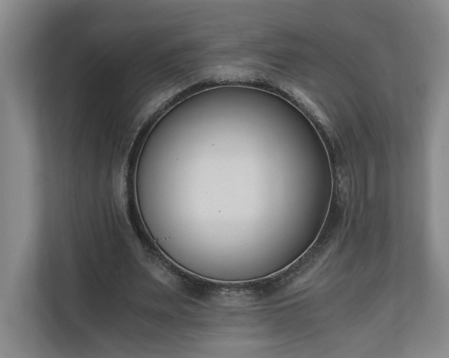 X0000110690487200906191510