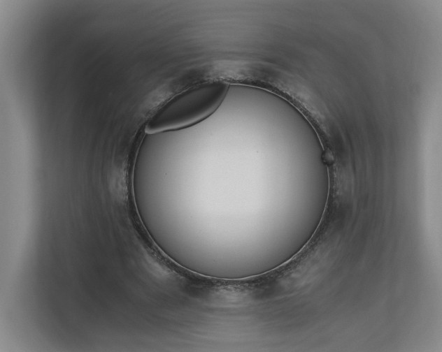 X0000110690489200906191510