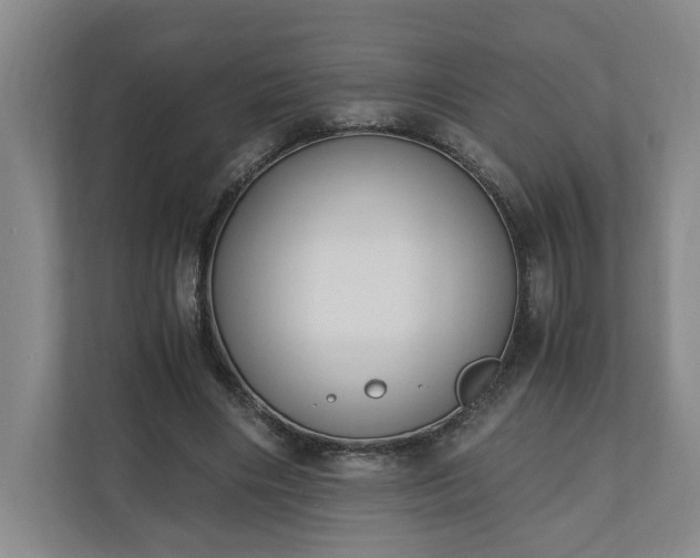 X0000110690490200906191510