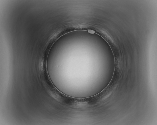 X0000110690491200906191510