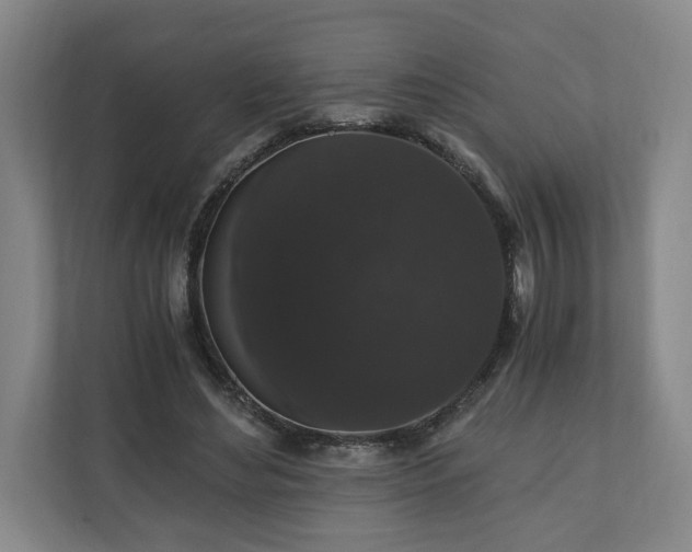 X0000110690492200906191510