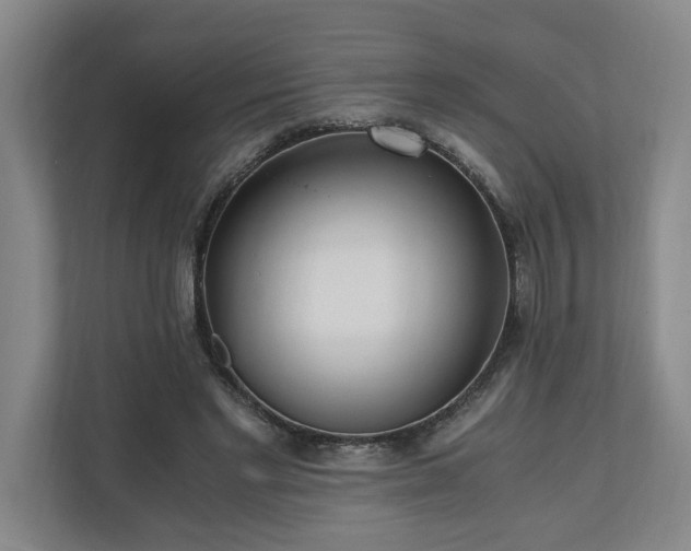 X0000110690493200906191510